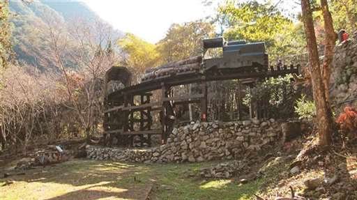 走入八仙山国家森林游乐区