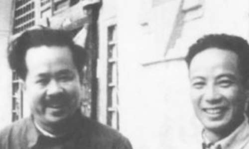 叶子龙的介绍
