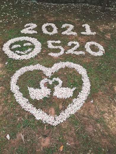 花 画 5 2 0