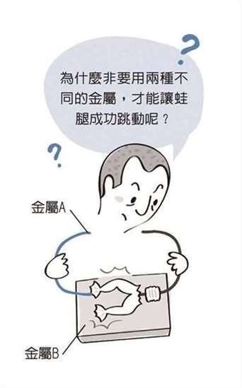 动物电?金属电?