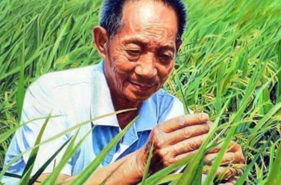 杂交水稻之父袁隆平,为何九十余岁高龄仍然还坚守在一线?