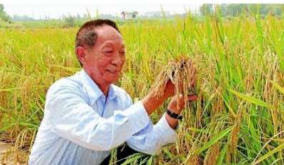 89岁袁隆平英文致辞上热搜,为何看哭万千网友?