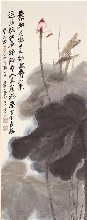 史博馆的荷花缘