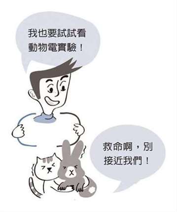 动物电?金属电?